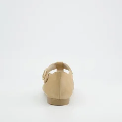 1203-019