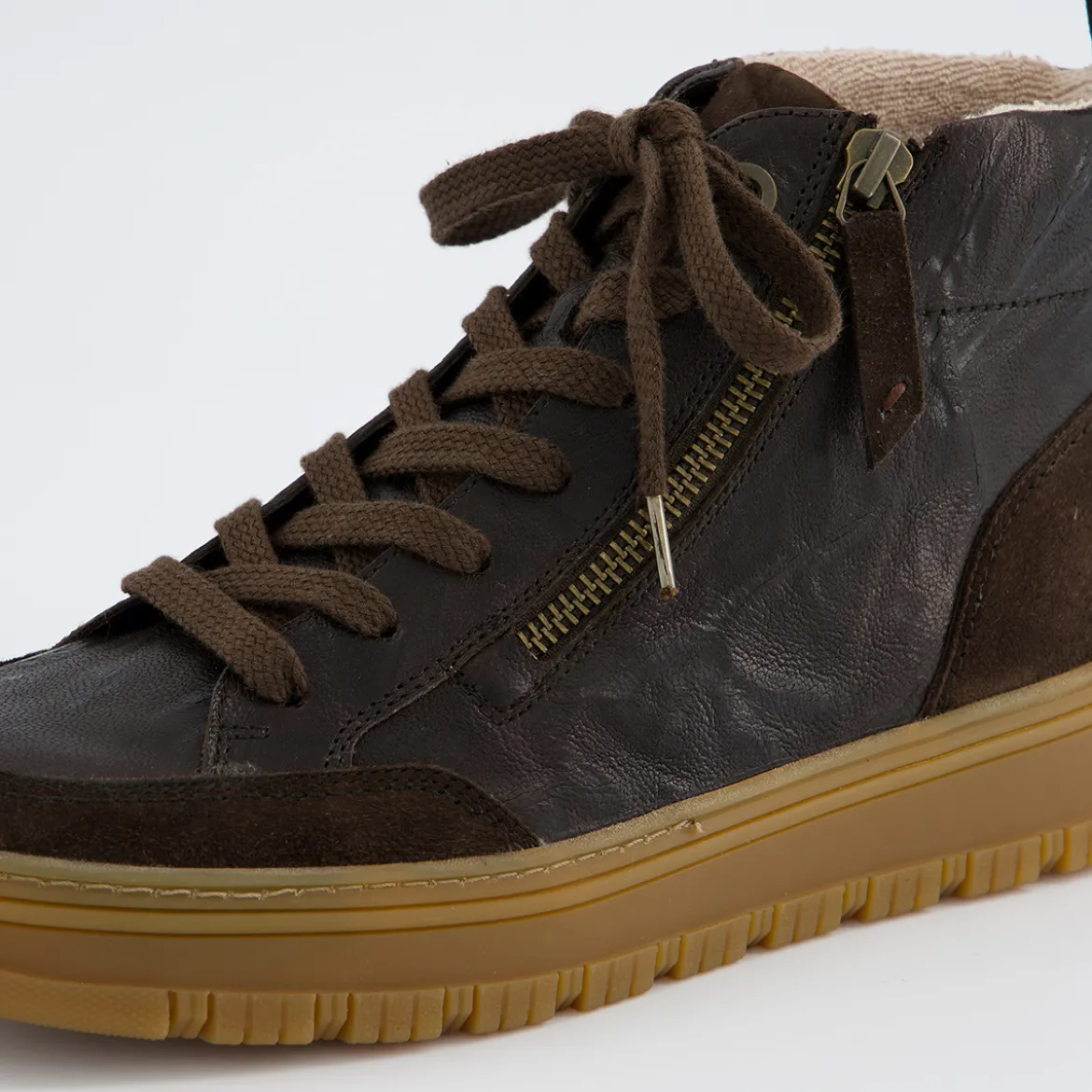 Hightop-Pauls 5289-120