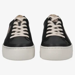 Pauls 5430-03