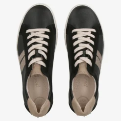 Pauls 5430-03