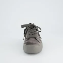 Pauls 5479-008