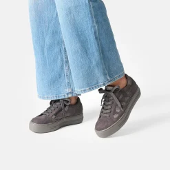 Pauls 5479-008