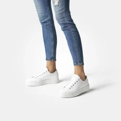 Pauls 4790-158