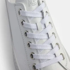 Pauls 4790-158