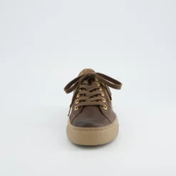 Pauls 5206-210