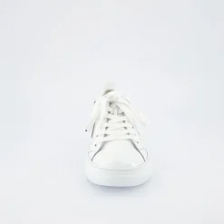 Pauls 5416-057