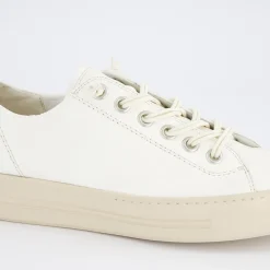 Pauls 4081-567