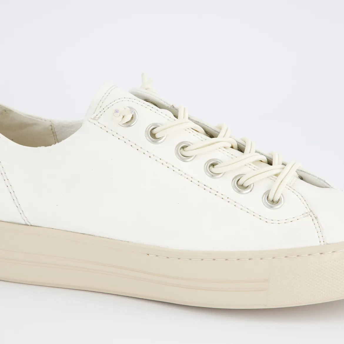 Pauls 4081-567