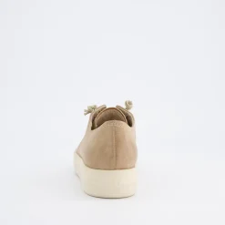 Pauls 4081-557