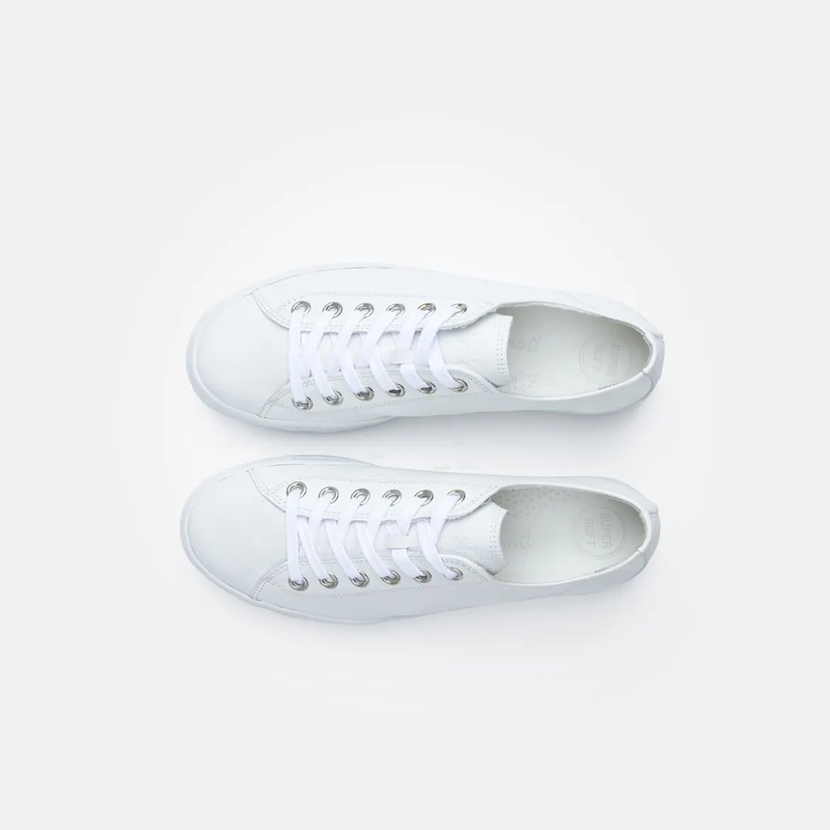 Pauls 5704-018