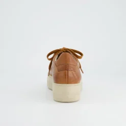 Pauls 5241-138
