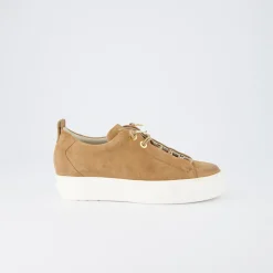 Pauls 5017-347