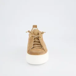 Pauls 5017-347