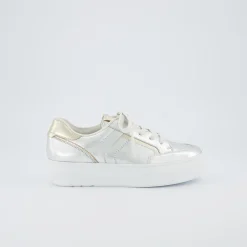 Pauls 5427-037