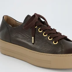 Pauls 4790-778