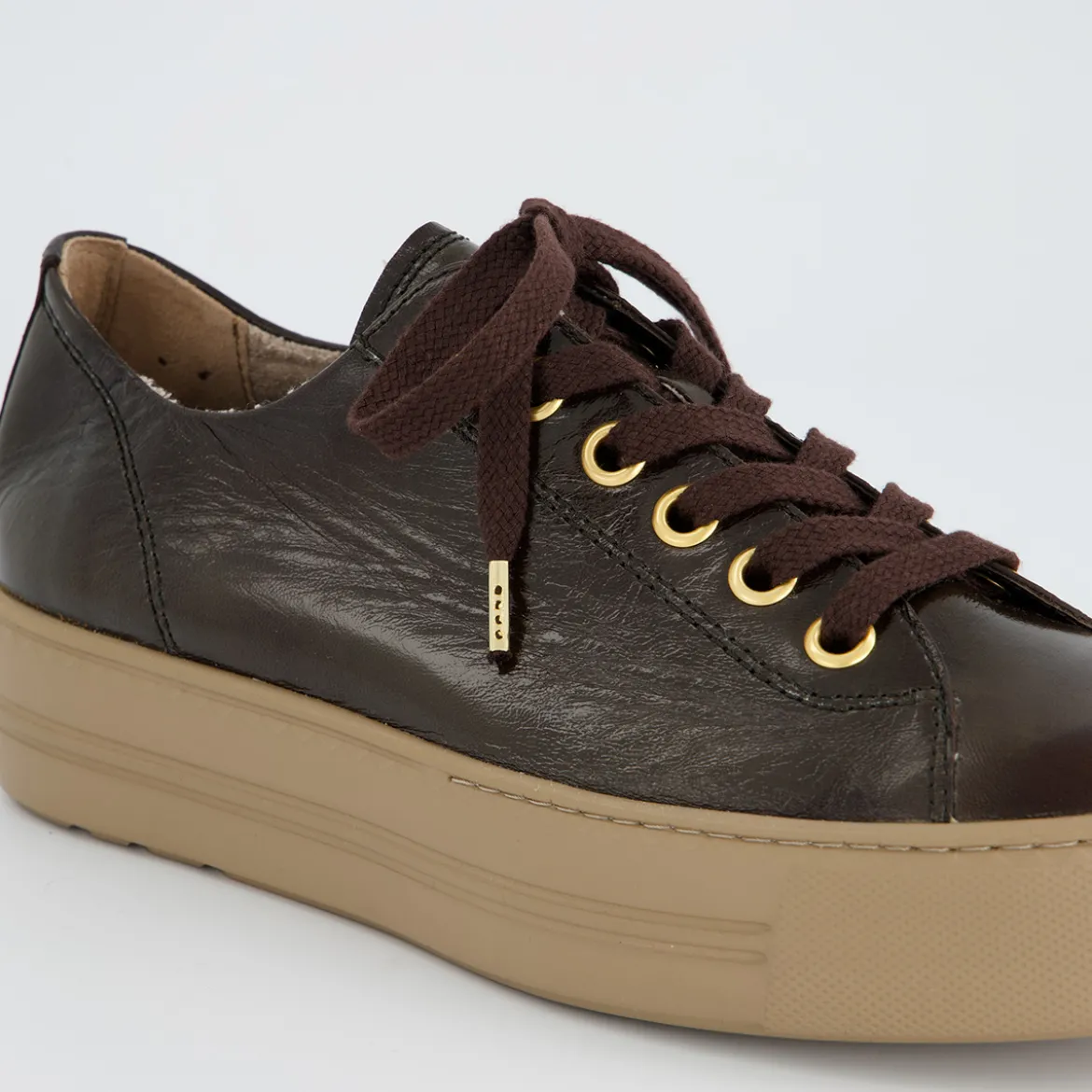 Pauls 4790-778