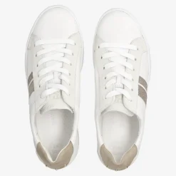 Pauls 5430-06