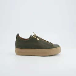 Pauls 5017-420