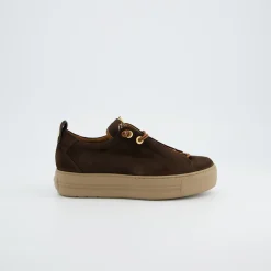 Pauls 5017-440