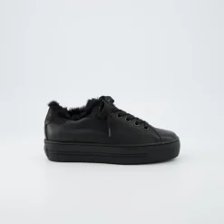 Pauls 5171-048