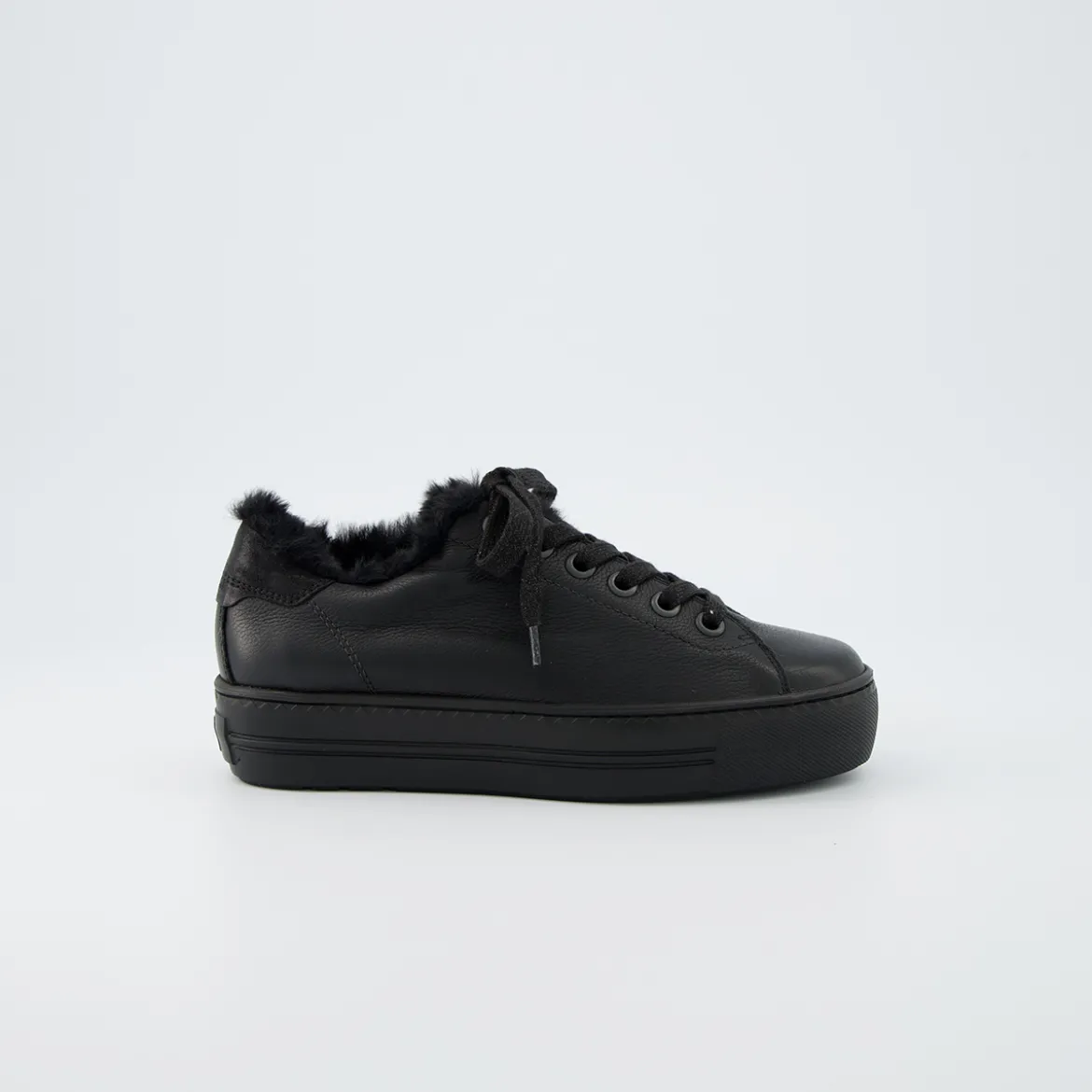 Pauls 5171-048