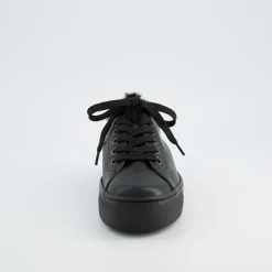 Pauls 5171-048