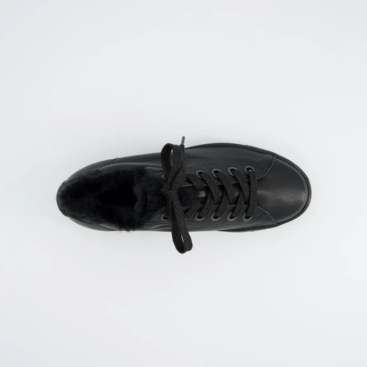 Pauls 5171-048