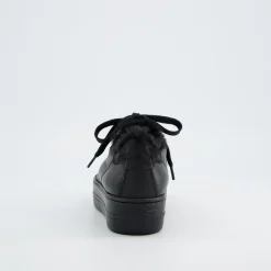 Pauls 5171-048