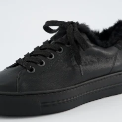 Pauls 5171-048