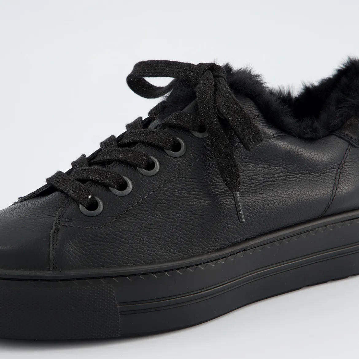 Pauls 5171-048