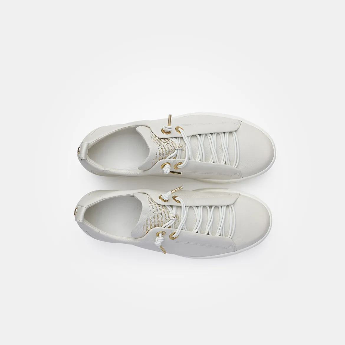 Pauls 5017-068