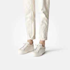 Pauls 5017-068