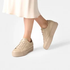Pauls 5241-118