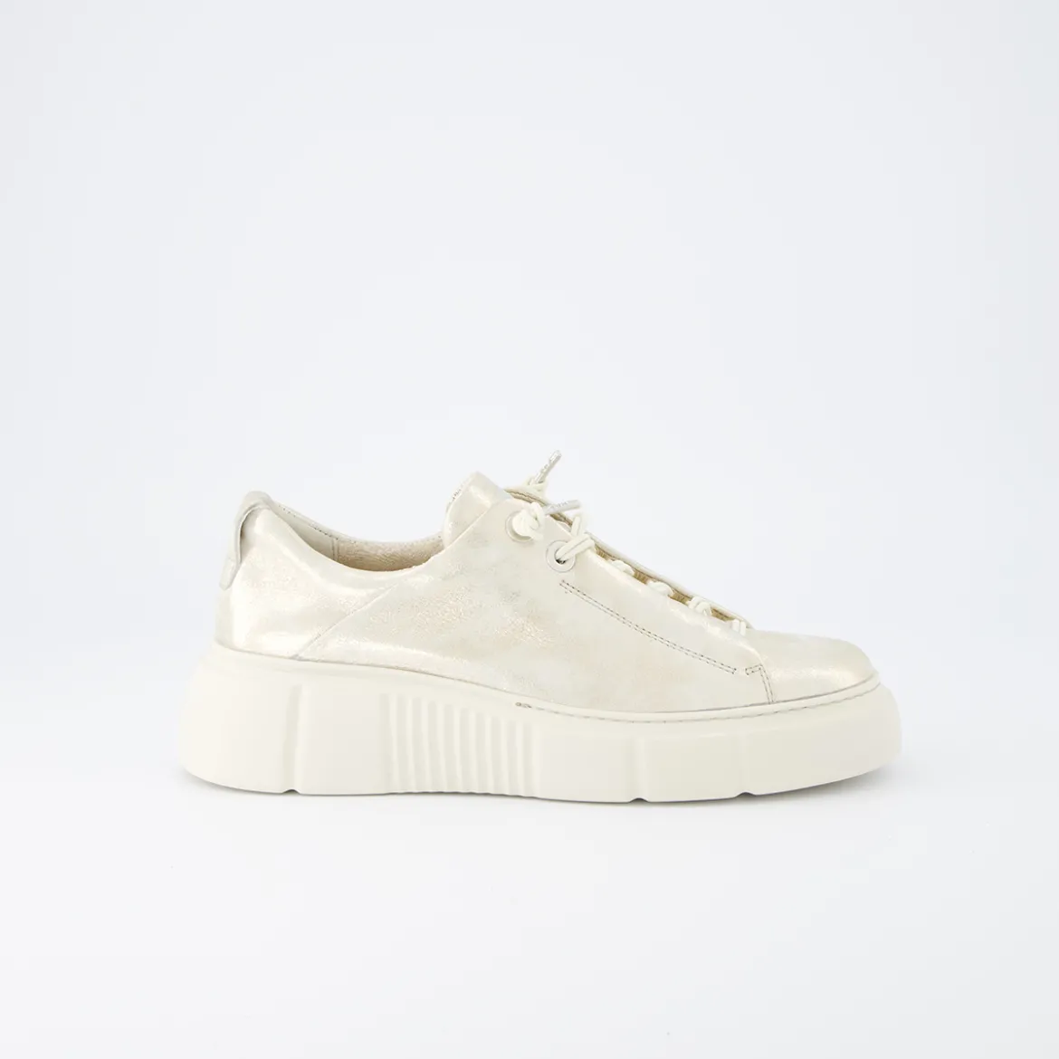 Pauls 5418-067