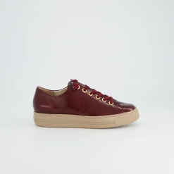Pauls 4081-580