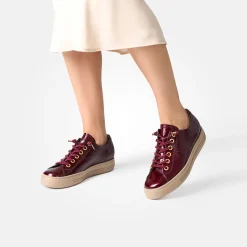 Pauls 4081-580