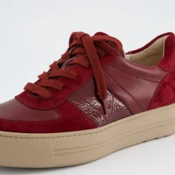 Pauls 5230-180