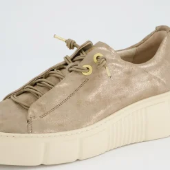 Pauls 5418-088