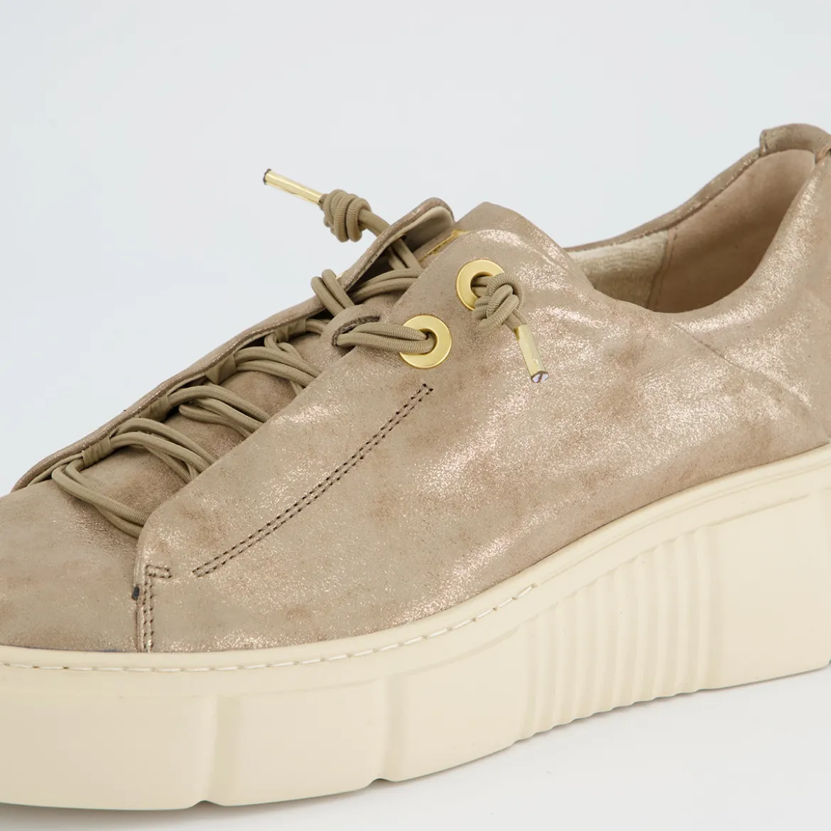 Pauls 5418-088