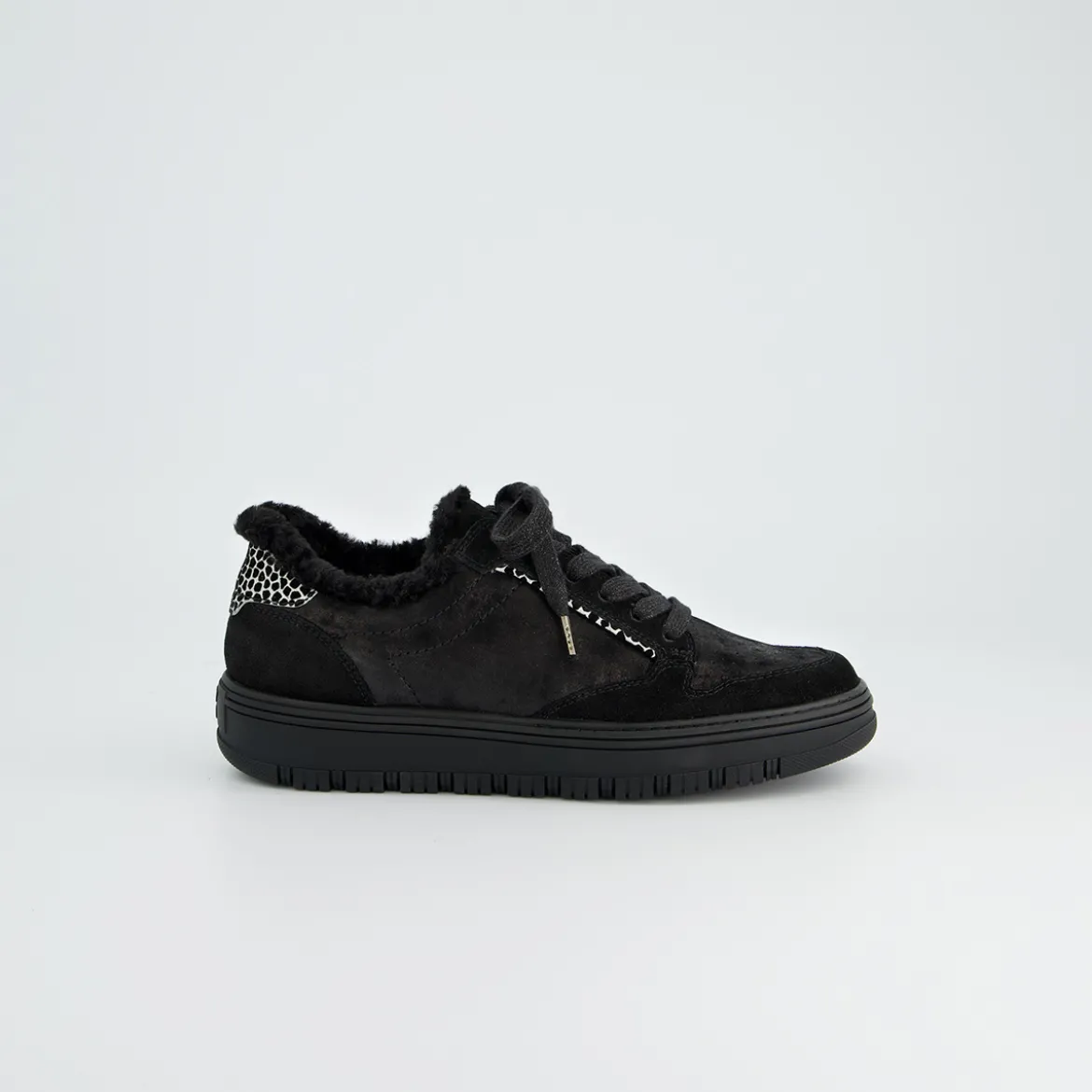 Pauls 5369-068