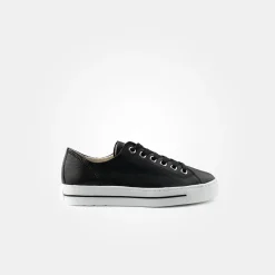 Pauls 4704-220