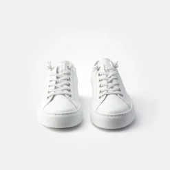 Pauls 4081-060