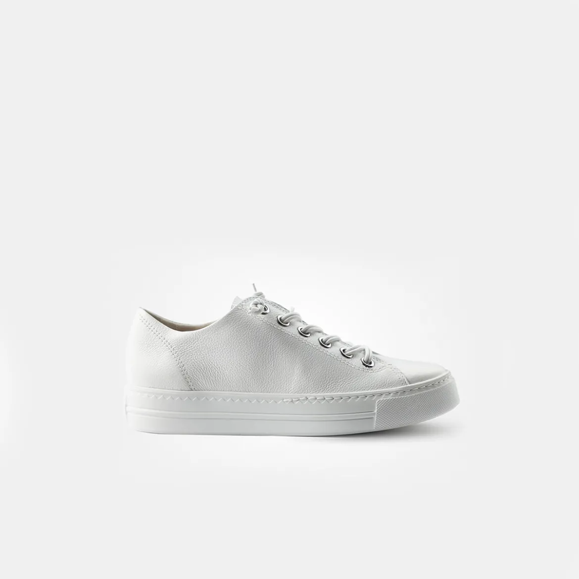 Pauls 4081-060