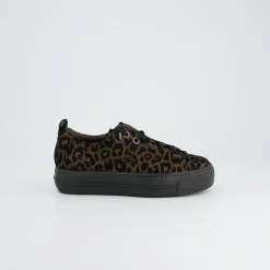 Pauls 5417-098