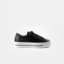 Pauls 4790-027