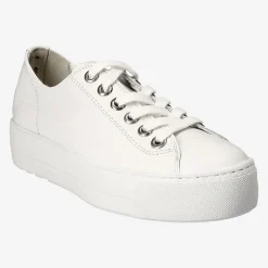Pauls 4790-010