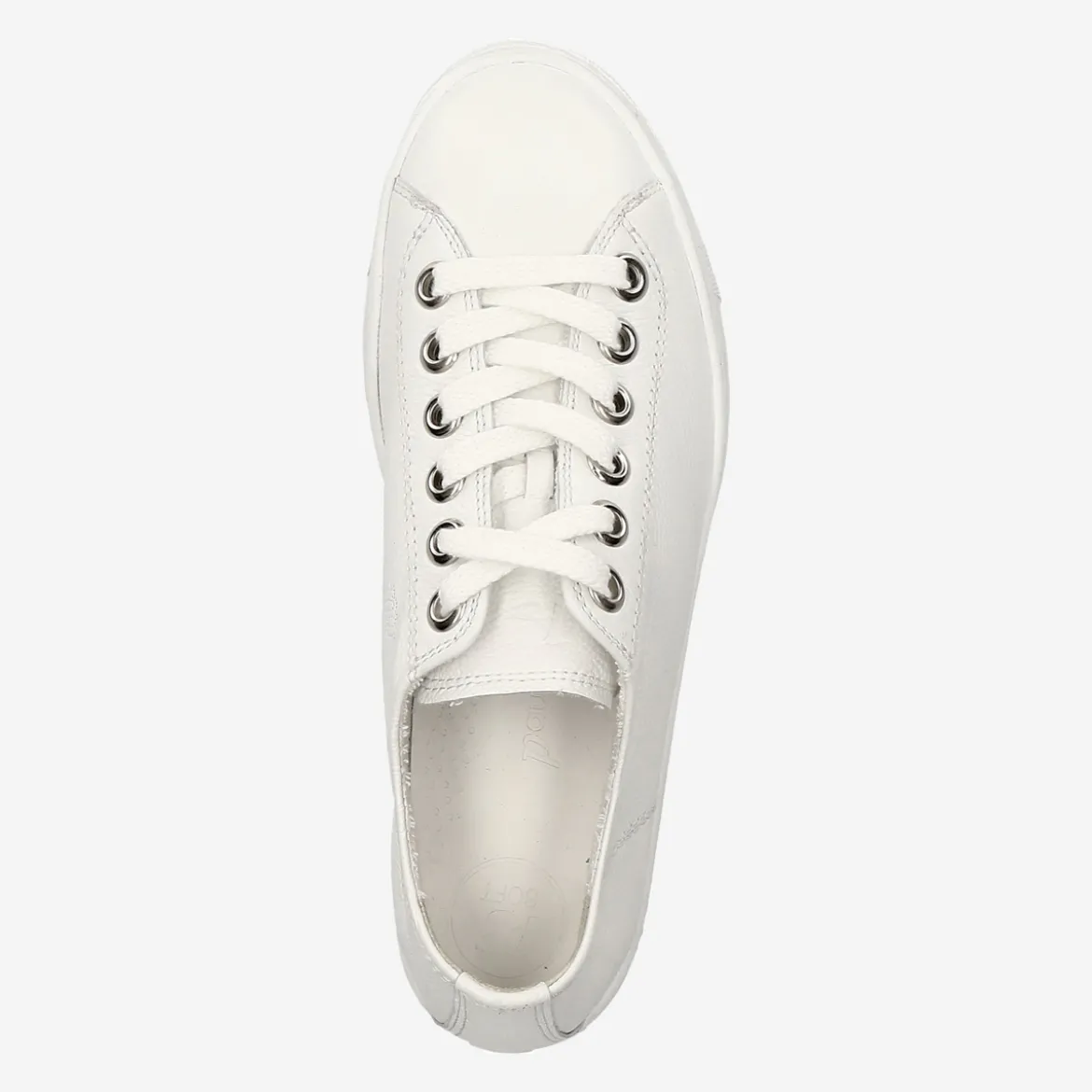 Pauls 4790-010