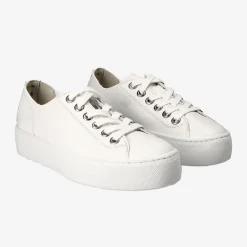 Pauls 4790-010