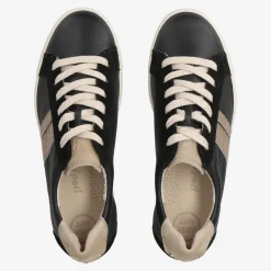 Pauls 5330-036