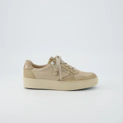 Pauls 5480-008